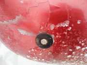 Sensor für Einparkhilfe - HINTEN Volkswagen Sharan, 7M 1995.09 - 2000.04 Gebraucht,