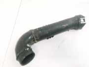 Schlauch für Luftversorgung Renault Scenic, II 2003.06 - 2006.06 8200231516,
