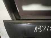 Zierleiste Leiste - Vorne Rechts Seat Ibiza, IV 2008.03 - 2012.06 Gebraucht ,