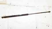 Gasdruckfeder Kofferraum Kia Carnival, 1998.08 - 2005.09 Gebraucht,