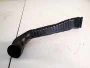 Schlauch für Luftversorgung Renault Scenic, II 2003.06 - 2006.06 8200129173,