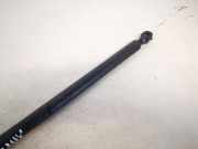 Gasdruckfeder Kofferraum Peugeot 807, 2002.06 - 2012.05 1492653080,