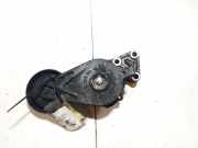 Spannrolle Volkswagen Sharan, 7M 2005.11 - 2010.03 facelift 038903315ae, Auy