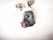 Türscharnier Vorne Ford Transit Connect 2002.06 - 2008.12 2t1av22801ca,