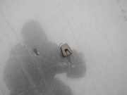 Waschwasserdüse Scheibenreinigung Volvo S70, I 1997.01 - 2001.12 Gebraucht,