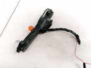 Lampenträger Heckleuchte - Hinten Renault Espace, IV 2002.11 - 2014.12 89028832,