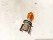 Glühbirnenfassung Blinker Renault Scenic, I 1999.09 - 2003.06 facelift Gebraucht,