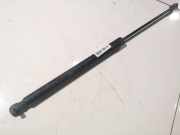 Gasdruckfeder Kofferraum Citroen C5, II 2008.02 - 2011.01 Gebraucht,