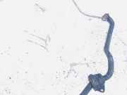 Stabilisator Vorne BMW X5, E53 facelift 2004 - 2006 Gebraucht ,