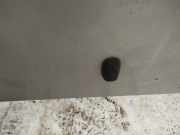 Waschwasserdüse Scheibenreinigung Ford Focus, 1998.10 - 2002.10 Gebraucht,