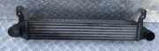Ladeluftkühler Ford Galaxy, Mk I 2000.04 - 2006.04 facelift 7m3145805,