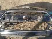 Kühlergrill - Vorne Center Citroen C3, II 2009.11 --> present Gebraucht,