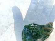 Seitenscheibe - Vorne Linke Toyota Yaris Verso, 1999.11 - 2005.09 as2,