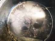 Blende Scheinwerfer - Vorne Fiat Doblo, 2005.10 - 2009.08 304401125n1, 30-440-1125n1