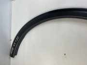 Beplankung Leiste Kotfl?gel - Hinten Linke Audi A6, C6 2005.01 - 2008.10 31283136LH,