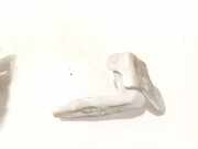 Türscharnier Vorne Citroen Jumper, II 2014.01 - 2016.12 facelift Gebraucht,