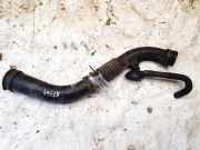 Schlauch für Luftversorgung Renault Megane, II 2002.11 - 2006.06 8200218987a,