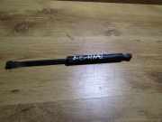 Gasfeder für Motorhaube BMW 3-Series, E46 2002.06 - 2005.02 facelift Gebraucht,na