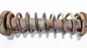 Fahrwerksfeder Hinterachse Rover 400, 1995.05 - 2000.03 Gebraucht,