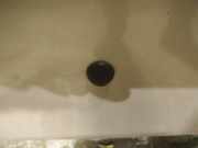 Waschwasserdüse Scheibenreinigung Opel Astra, F 1991.09 - 1998.09 Gebraucht,