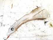Scheibenwaschbehälter Vorne Wischwasserbehälter Renault Megane, I 1999.03 - 2002.10 facelift 7700835518,