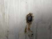 Waschwasserdüse Scheibenreinigung Mazda 323F, 1998.09 - 2004.05 Gebraucht ,