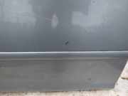 Zierleiste Tür Zier-Schutzleiste - Vorne Linke Ford C-MAX, 2003.01 - 2007.06 Gebraucht,