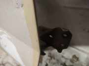 T?rscharnier Vorne Ford Transit, III 2006.04 - 2012.12 facelift Gebraucht,