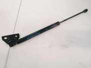 Gasdruckfeder Kofferraum Dodge Journey. 2009.01 - 2014.12 05178293ac,0090880550n