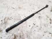 Gasdruckfeder Kofferraum Opel Corsa, C 2000.09 - 2006.07 013001320670,076928350n