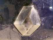 Emblem Renault Modus I 2004.01 - 2007.12 Gebraucht,