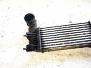 Ladeluftkühler Citroen C5, I 2001.03 - 2008.02 Gebraucht,