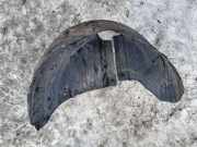 Radhausschale - Hinten Linke Volkswagen Fox 2005 - 2011 5Z0810971A	, BMD