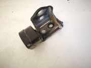 Türscharnier Hinten Renault Scenic, II 2003.06 - 2006.06 Gebraucht,