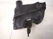 Luftfilterkasten Renault Scenic, II 2003.06 - 2006.06 8200369755,8200369806