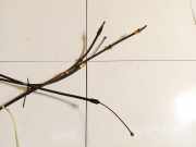 Seilzug Feststellbremse Ford Galaxy, Mk III 2006.04 - 2010.06 6G912B700,6G91-2B700-EG 6G91-2B700-FF 6G91-2B700-FG 6G912B700EF 6G912B700EG 6G912B700FF 6G912B700FG