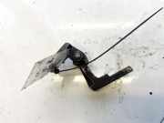 T?rscharnier Hinten Skoda Superb, I 2001.12 - 2008.03 Gebraucht,