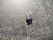 Waschwasserdüse Scheibenreinigung Volvo V50, 2004.04 - 2007.05 Gebraucht,