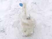 Scheibenwaschbehälter Vorne Wischwasserbehälter Rover 45, 2000.02 - 2005.05 e110126,