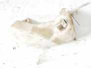 Scheibenwaschbehälter Vorne Wischwasserbehälter Audi 80, B4 1991.09 - 1995.01 8a0955453,