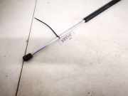 Gasdruckfeder Kofferraum Hyundai Santa Fe, 2000.11 - 2006.03 Gebraucht,