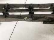 Kühlergrill - Vorne Center Renault Megane, II 2002.11 - 2006.06 8200114155,