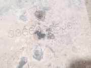 Batterieaufnahme Suzuki Grand Vitara, II 2005.04 - 2009.06 3366065j0, 33660-65j0