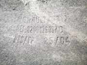 Radhausschale - Hinten Linke Renault Scenic, II 2003.06 - 2006.06 8200136397,