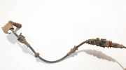 Kabelbaum Opel Signum, 2003.05 - 2008.06 Gebraucht,