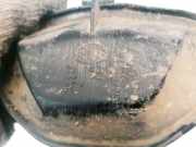 Blende Scheinwerfer - Vorne Opel Vectra, C 2002.04 - 2005.10 15619200, 156192-00