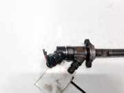 Einspritzdüse Citroen Jumpy, II 2007.01 - 2016.02 0445110239,