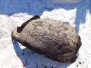 Radhausschale - Vorne Rechts Peugeot 508, 2010.11 - 2018 Gebraucht,