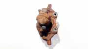 Bremssattelträger - Vorne Rechts Volkswagen Sharan, 7M 1995.09 - 2000.04 Gebraucht,