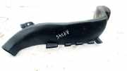 Schlauch für Luftversorgung Renault Scenic, II 2003.06 - 2006.06 8200129159,158285